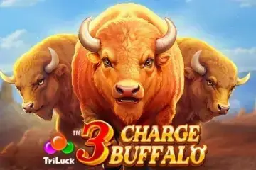 3 Charge Buffalo - Spin City - Congo